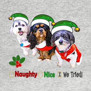 Naughty or Nice Dog Holiday Gifts T-Shirt
